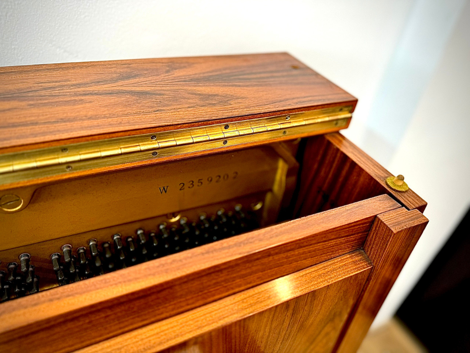 YAMAHA W101 Wn Seri 2.3 - Góc nhìn thực tế 6